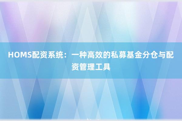 HOMS配资系统：一种高效的私募基金分仓与配资管理工具