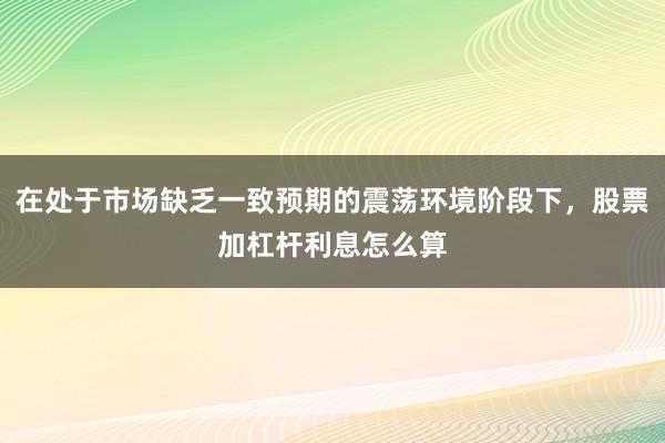 在处于市场缺乏一致预期的震荡环境阶段下，股票加杠杆利息怎么算