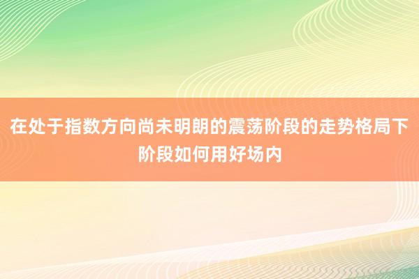 在处于指数方向尚未明朗的震荡阶段的走势格局下阶段如何用好场内
