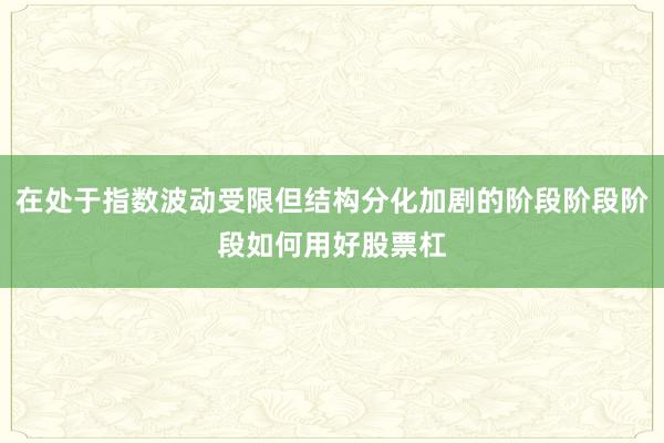 在处于指数波动受限但结构分化加剧的阶段阶段阶段如何用好股票杠
