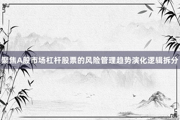 聚焦A股市场杠杆股票的风险管理趋势演化逻辑拆分