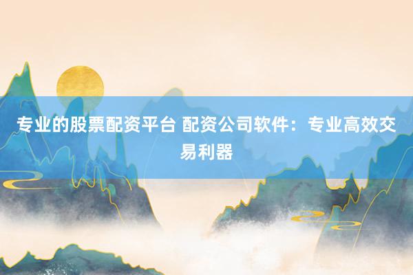 专业的股票配资平台 配资公司软件：专业高效交易利器